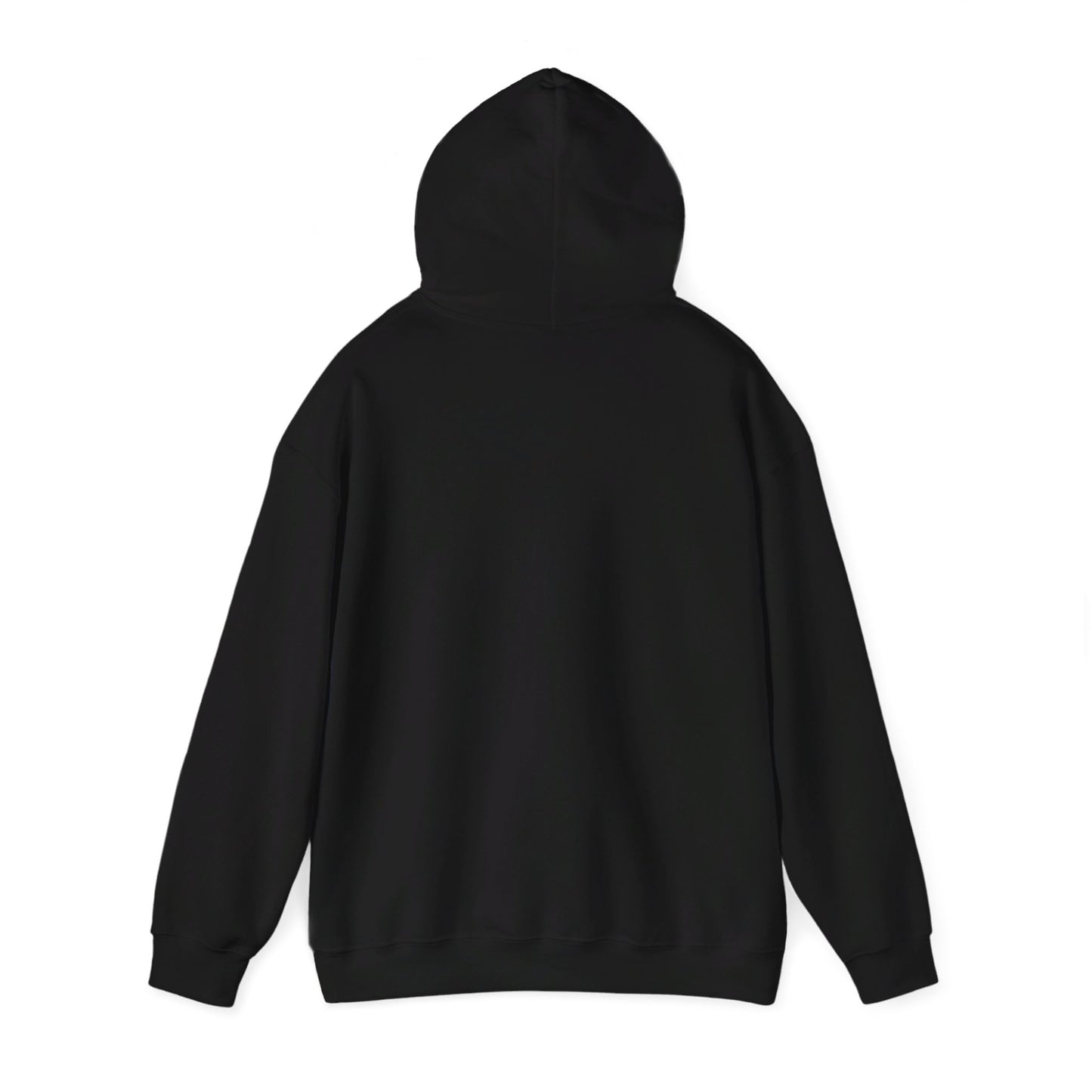 UFO Arrival Hoodie