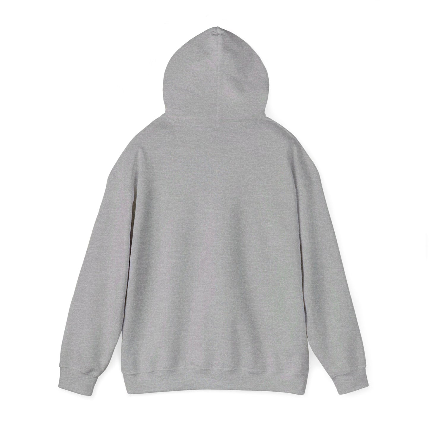 UFO Arrival Hoodie